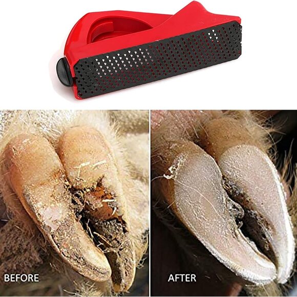 Multi Rasp Shaver Planer,gypsum plane Goat Hoof Rasp File1 pack - Picture 4 of 9